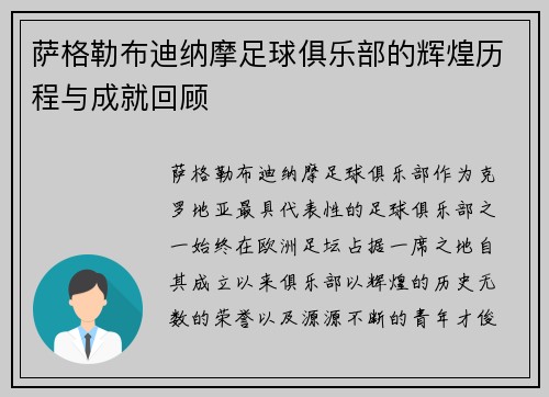 萨格勒布迪纳摩足球俱乐部的辉煌历程与成就回顾